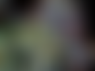 Panama Red by AltSol - Embers DC Dispensary