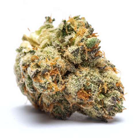 Tahiti Twist, cultivated by Alt Sol and available at Wash Hydro in Washington DC, is a balanced hybrid strain that brings tropical flair...