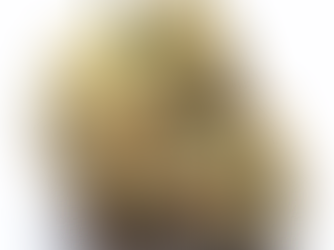 Tahiti Twist by Alt Sol - New Leaf Dispensary DC