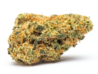 Matanuska Thunder Fuck, Episode II - Story Dispensary (Waldorf, MD)